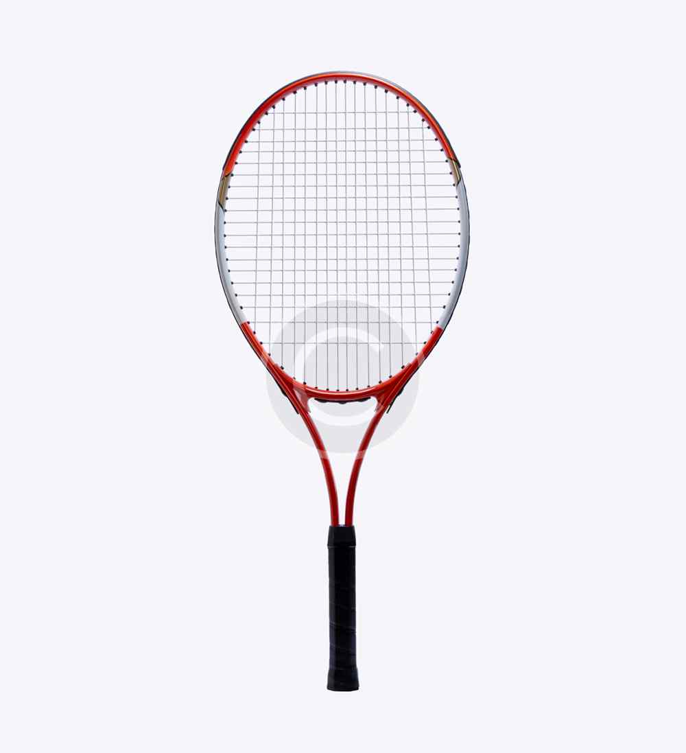 Pro Staff V14 Racket - Imagen 2